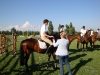 lancieri_equestre_luxury00011